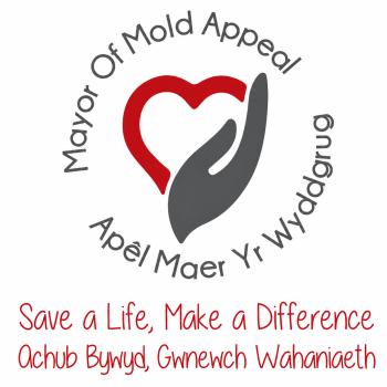 Mayor fundraising logo