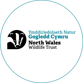 NWWT_LOGO_PRIMARY_COLOUR-01