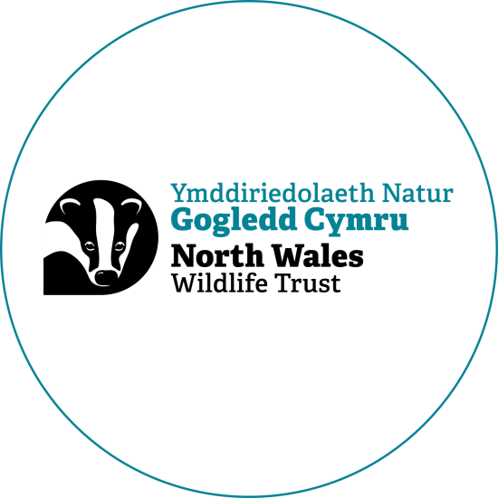 NWWT_LOGO_PRIMARY_COLOUR-01