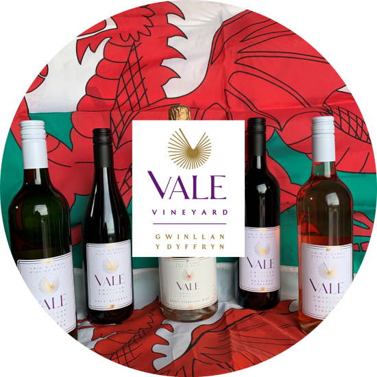 Vale Vineyard
