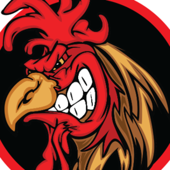 rooster